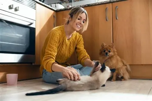 6 Lựa chọn thay thế PetSmart tốt nhất năm 2023: Chúng có tốt hơn không?