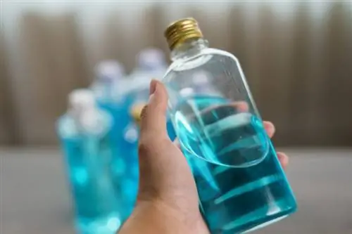 Ali bo alkohol ubil bolhe? Veterinarsko pregledana dejstva