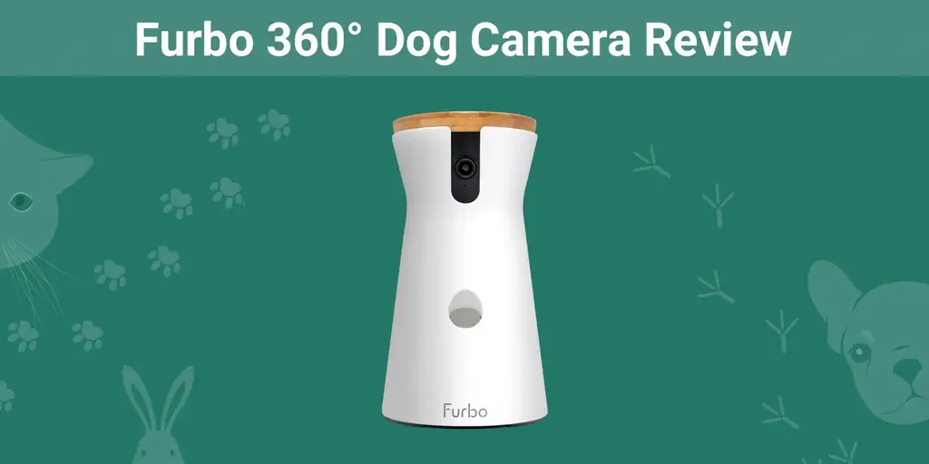 Обзор камеры для собак Furbo 360° 2023: мнение нашего эксперта