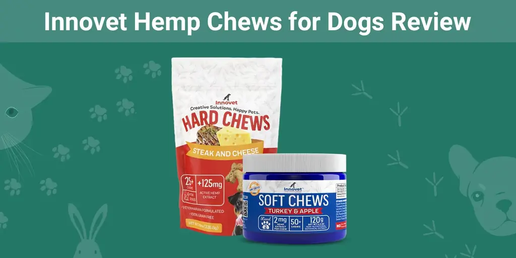 Innovet Hemp Chews for Dogs Review 2023: Vår eksperts mening