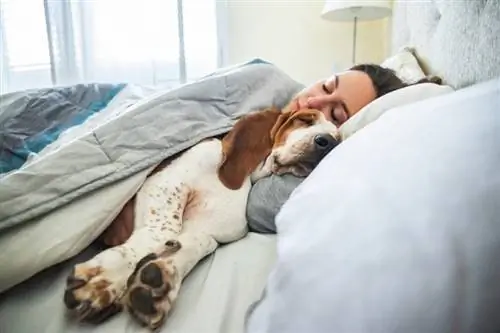 Dormir avec son chien : 8 avantages scientifiques