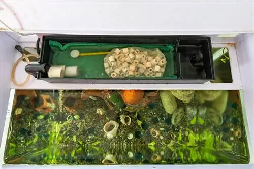 10 lihtsat isetegemise akvaariumi filtriplaani, mida saate juba täna teha (koos piltidega)
