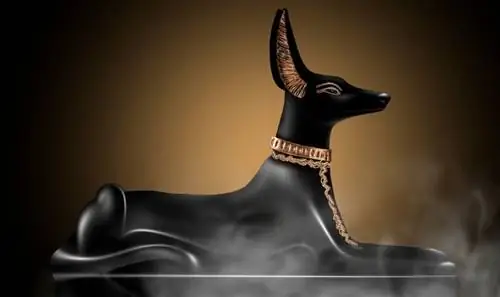 Storia dei cani nell'antico Egitto (fatti, cultura & altro)