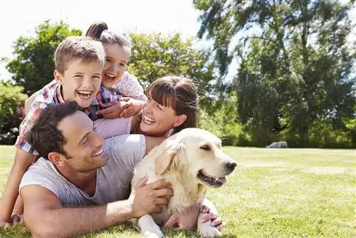 Les animaux de compagnie font-ils partie de la famille ? Science & Les statistiques expliquent