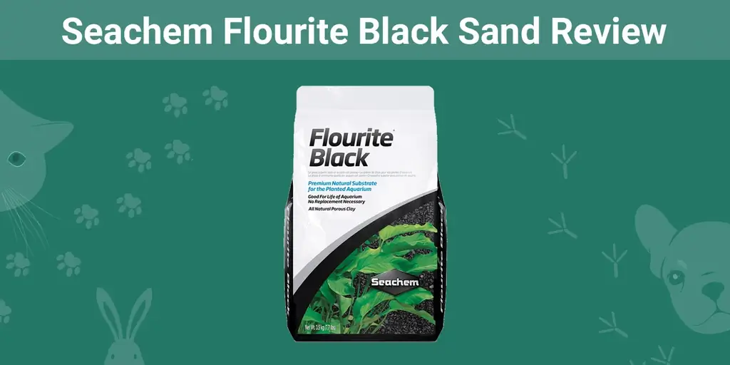 Seachem Flourite Black Sand ክለሳ፡ የኛ የአሳ ባለሙያ አስተያየት
