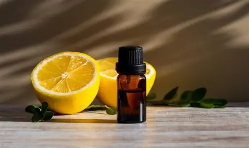 Ligtas ba ang Lemon Essential Oil para sa mga Aso? Mga Katotohanan na Inaprubahan ng Vet & Mga Rekomendasyon