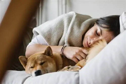 Waarom slapen honden met hun billen naar je toe? 5 redenen voor dit gedrag