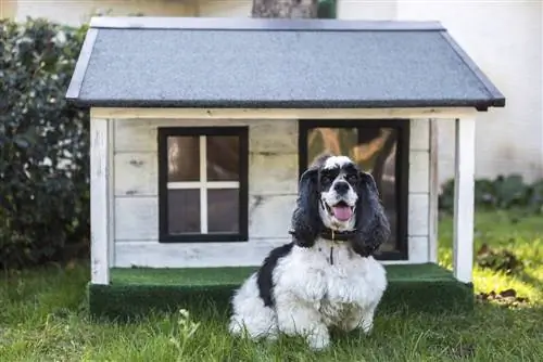 10 mejores casas para perros modernas en 2023 – Reseñas & Mejores selecciones