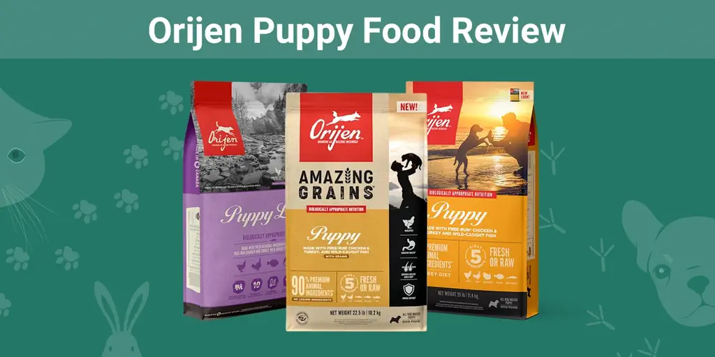 Orijen Puppy Food Review 2023: pros, contras, retiros del mercado y preguntas frecuentes