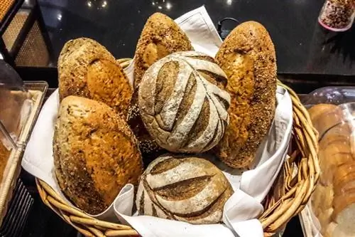 Ar naminiai balandžiai gali valgyti duoną? Ką tu turi žinoti