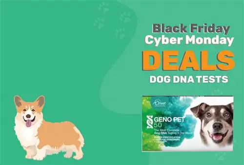 5 meilleures offres de kits ADN pour chiens Black Friday/Cyber Monday & Ventes 2023