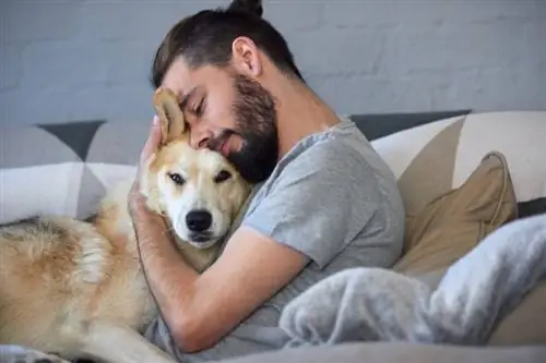 Waarom houden honden van knuffelen? 4 redenen & Voordelen