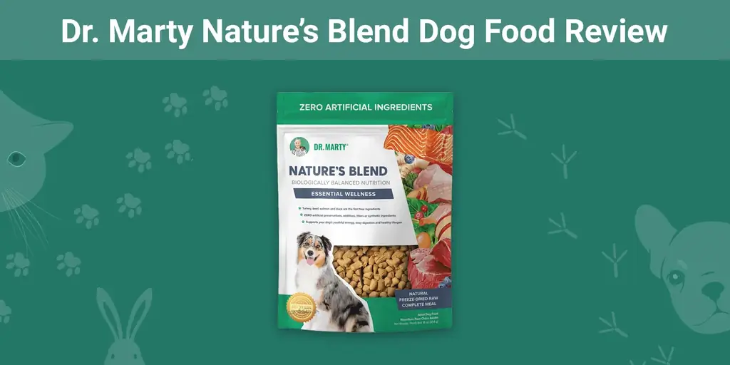 Dr. Marty Nature's Blend šunų maisto apžvalga 2023 m.: privalumai & trūkumai