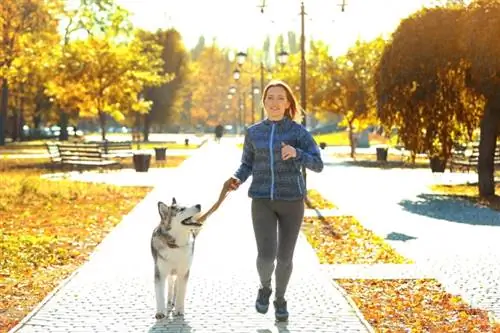 چه زمانی می توانید با توله سگ خود دویدن را شروع کنید؟ حقایق تأیید شده توسط دامپزشک & سؤالات متداول