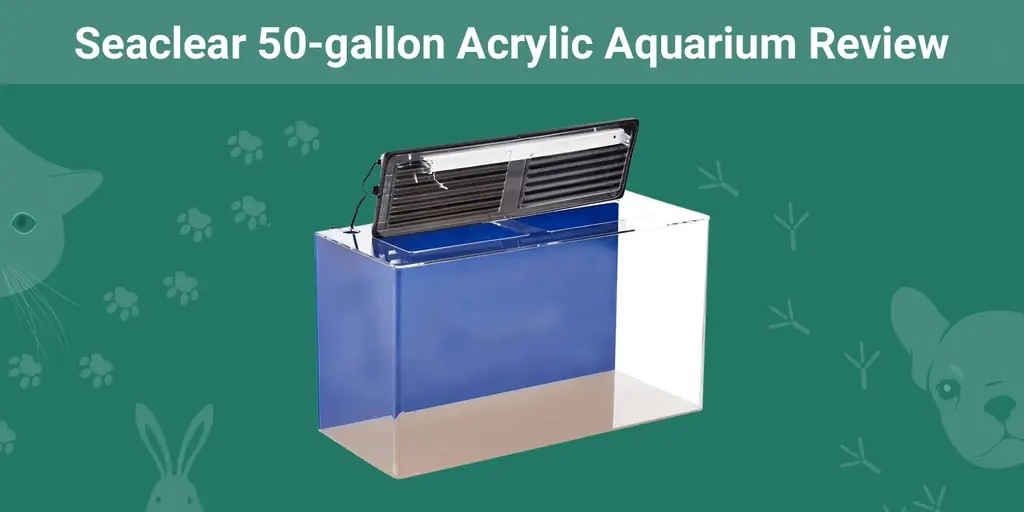 Seaclear pregled akrilnih akvarija od 50 galona, ažuriranje za 2023