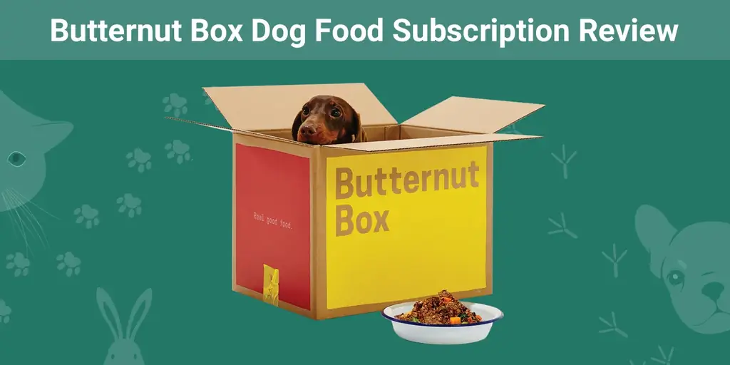 Butternut Box нохойн хоолны захиалгын 2023 оны тойм: Давуу тал, сул тал & Шийдвэр