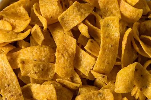 สุนัขกิน Fritos ได้ไหม? สัตวแพทย์ตรวจสอบข้อเท็จจริง & คำถามที่พบบ่อย