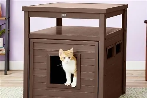10 meilleurs boîtiers de meubles pour litière pour chat en 2023 – Avis &