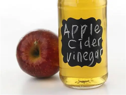 Apple Cider Vinegar para sa Mga Pusa: Mga Paggamit, Mga remedyo, & Mga Benepisyo