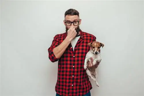 Miért van rossz szagú a kutyaeledel? Állatorvos által jóváhagyott tények & GYIK