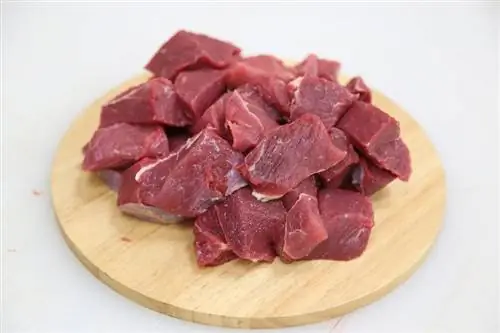 هل يمكن للكلاب أن تأكل لحم الضأن؟ معلومات التغذية المعتمدة من الطبيب البيطري & نصائح التحضير
