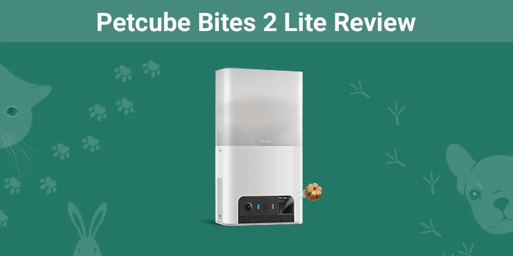Petcube Bites 2 Lite Review 2023: Názor nášho odborníka