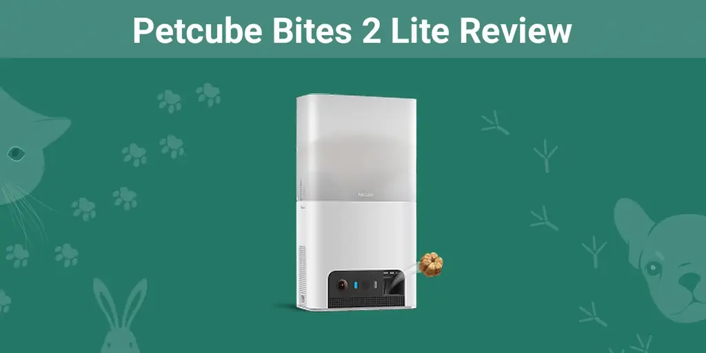 Petcube Bites 2 Lite recenzija 2023: mišljenje našeg stručnjaka