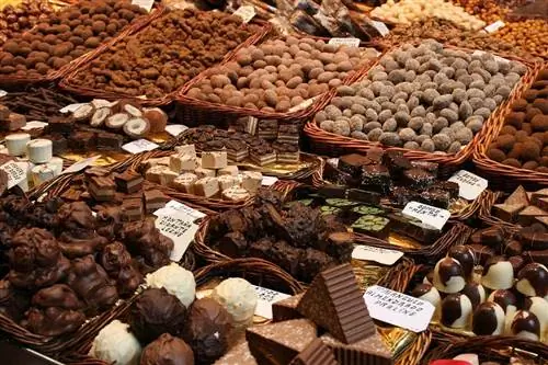 Kan krimpvarkies sjokolade eet? Feite & Gereelde vrae