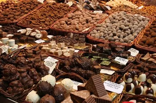 Els eriçons poden menjar xocolata? Fets & FAQ