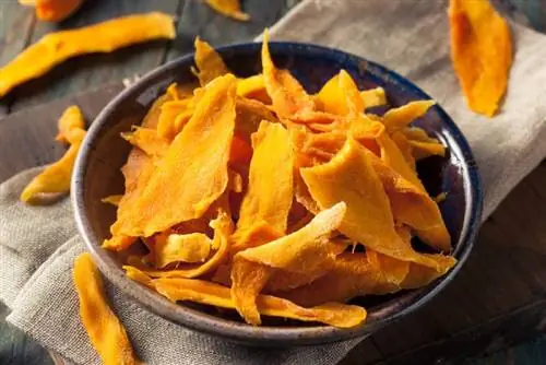Kan hunde spise tørret mango? Dyrlægegodkendt ernæringsoplysninger & Risici