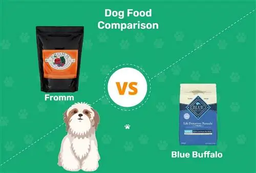 Fromm vs Blue Buffalo Chakula cha Mbwa: 2023 Comparison, Faida & Cons