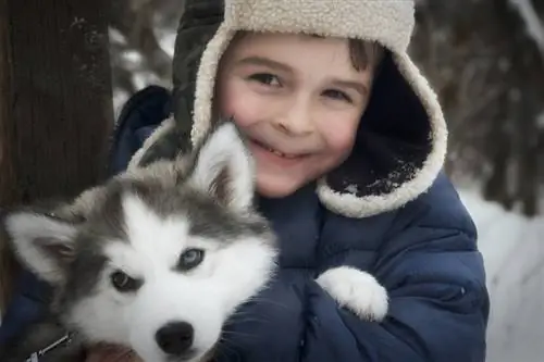 Les Huskies sont-ils bons avec les enfants ? Tout ce que tu as besoin de savoir