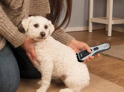 10-те най-добри акумулаторни машинки за подстригване на кучета през 2023 г.: рецензии & Най-добри избори
