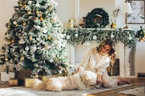 11 najlepších vianočných darčekov pre milovníkov psov v roku 2023 – recenzie a najlepšie tipy