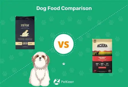 Fromm vs Acana Dog Food: 2023 Comparison, Pros & Cons