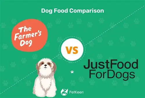 Кучето на фермера срещу просто храна за кучета: Сравнение през 2023 г., плюсове & минуси