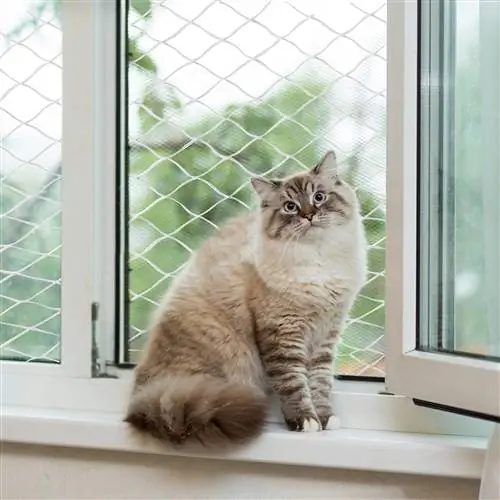 8 بهترین محافظ پنجره گربه با صفحه نمایش & در سال 2023 – نظرات & انتخاب برتر