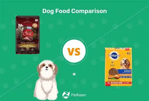 Purina vs. Pedigree Dog Food: 2023 Usporedba, prednosti & Protiv