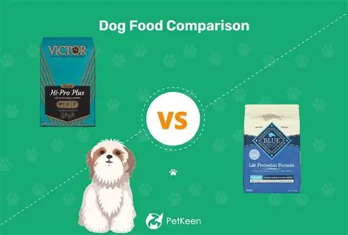 Victor Dog Food vs Blue Buffalo 2023 Comparación: Pros & Contras