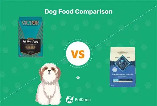 Victor Dog Food vs Blue Buffalo 2023 Comparaison : Avantages & Inconvénients