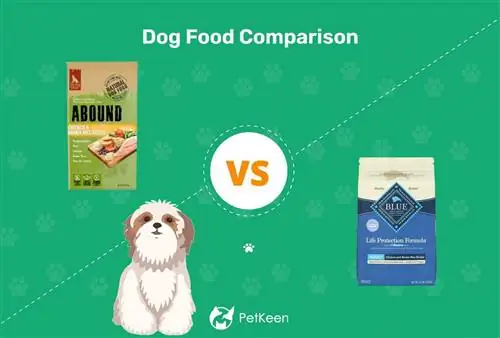 Abound vs Blue Buffalo Dog Food: Vår 2023 dyptgående sammenligning