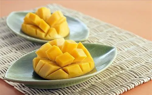 Kan pindsvin spise mango? Fakta & FAQ