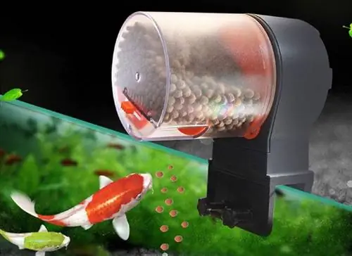 10 Pinakamahusay na Automatic Fish Feeder para sa Mga Aquarium sa 2023: Mga Review & Mga Nangungunang Pinili
