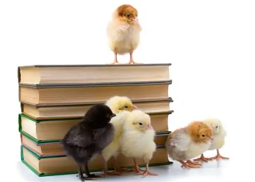 10 nejlepších knih o chovu kuřat v roce 2023 – recenze & nejlepších