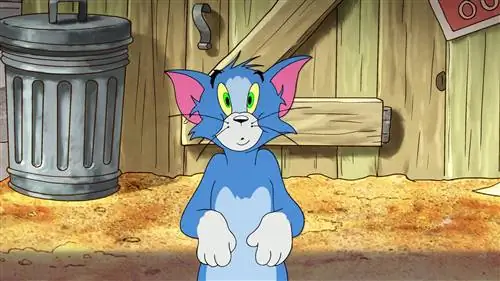Welk kattenras is Tom van Tom en Jerry?