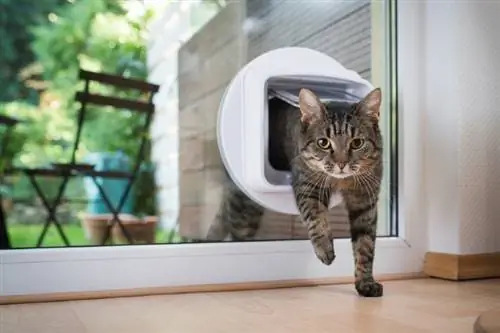 6 อันดับ Microchip Cat Flaps ที่ดีที่สุดในสหราชอาณาจักรในปี 2023 – รีวิว & รายการยอดนิยม