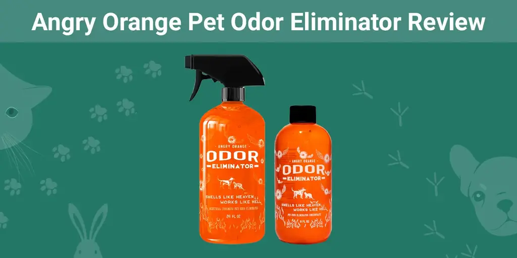 Angry Orange Pet Odor Eliminator Review 2023 - Notre avis d'expert