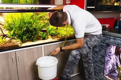 Gids voor het reinigen van aquariumgrind voor nieuw & Bestaand grind: eenvoudige stappen