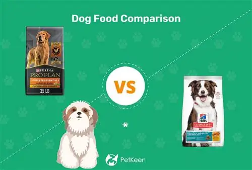 Purina Pro Plan срещу Hill’s Science Diet Dog Food: Сравнение за 2023 г., плюсове & минуси