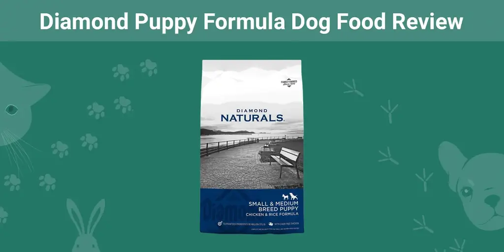 Diamond Puppy Formula Dog Food Review 2023: Opoziv, prednosti & Protiv